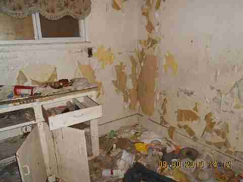 6637 Majestic (23)_m.jpg